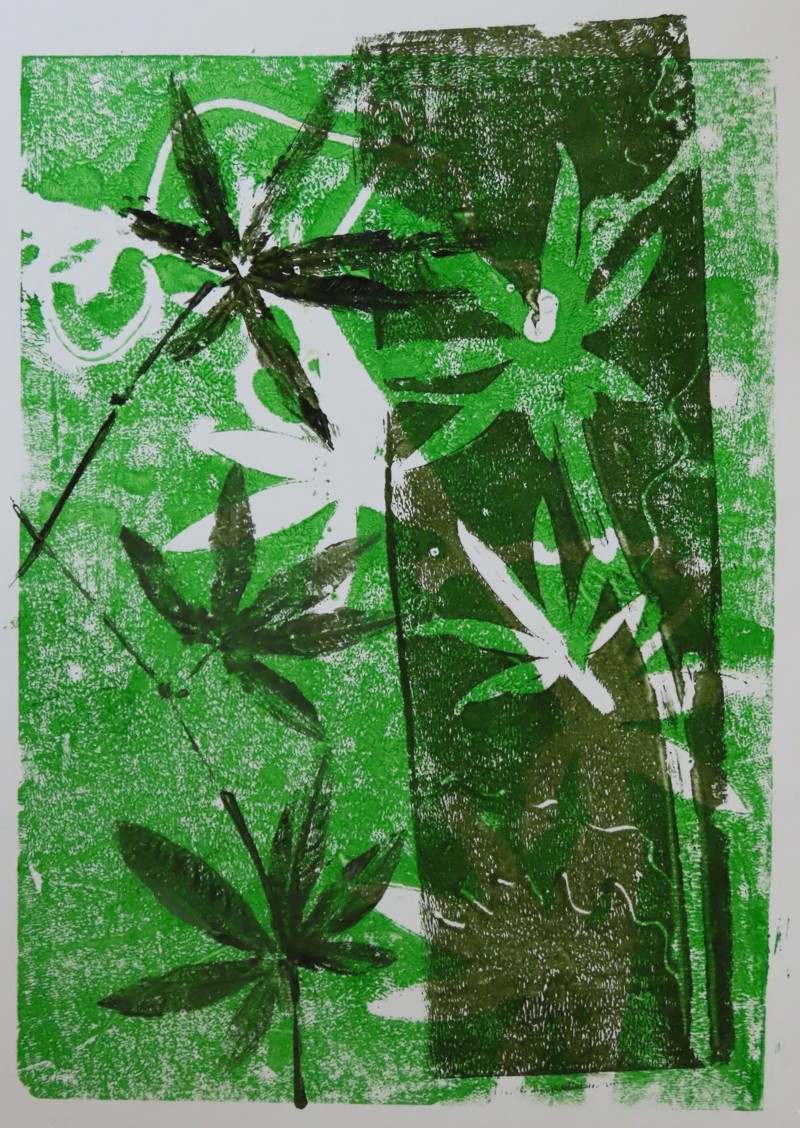 Passiebloem