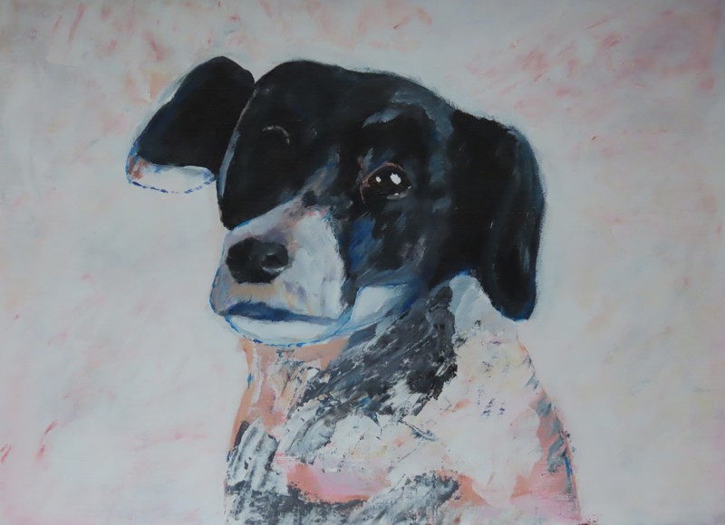 Stip de hond