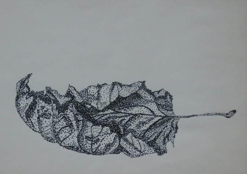 Dor blad
